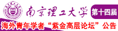 三洞齐插资源南京理工大学第十四届海外青年学者紫金论坛诚邀海内外英才！